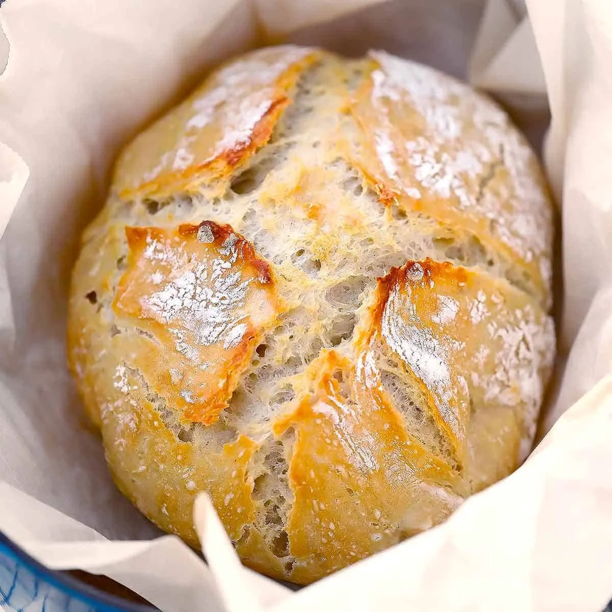 Crusty No Knead Dutch Oven Bread
