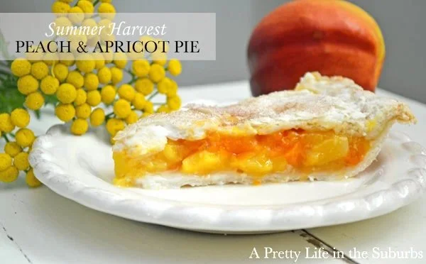 Peach and Apricot Summer Pie