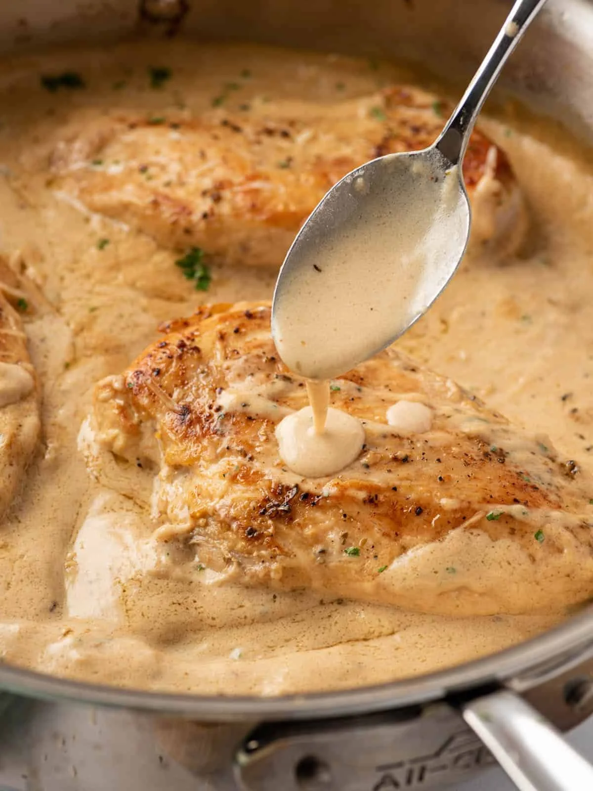 Velvety Garlic Parmesan Chicken
